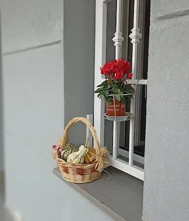 Alojamento de Acomodação e Pequeno-almoço Ca Betty
